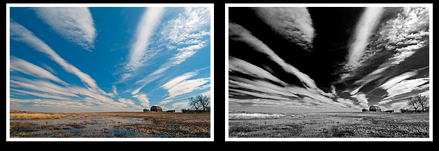 Prairies in colour and black and white by Robert Berdan ©