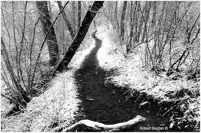 Path after fresh snow in black and white by Robert Berdan ©