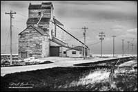 Black and white photo of Grain elevators from Sourther Alberta by Robert Berdan