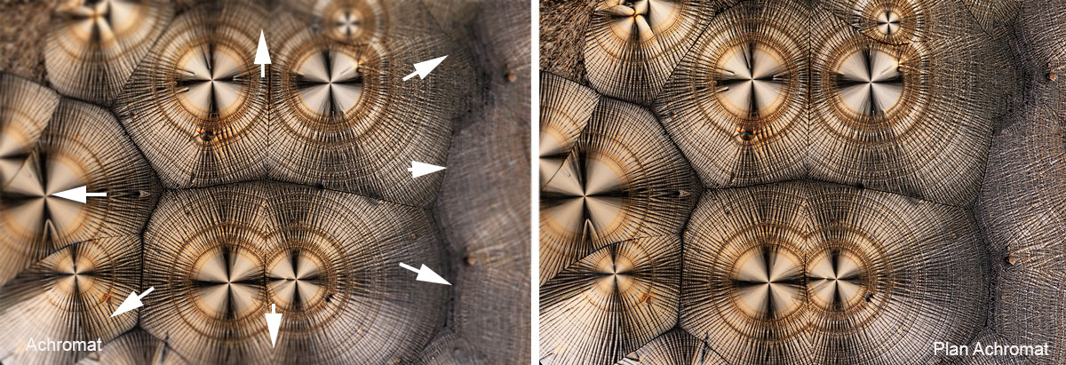 Vitamin C crystals photographed with an Achromat and Plan Acrhomat objective for comparision Robert Berdan ©