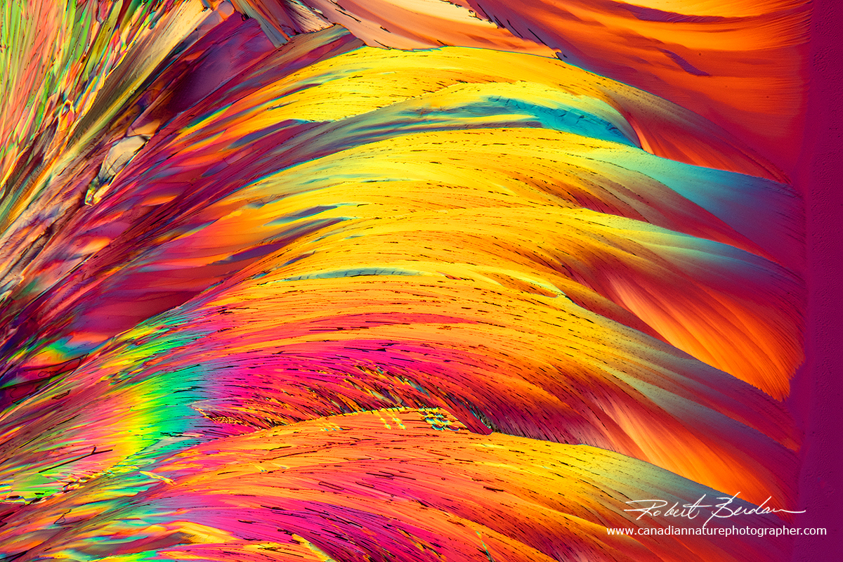 Citric Acid crystals photographed with a polarizing microscope 50X by Robert Berdan ©