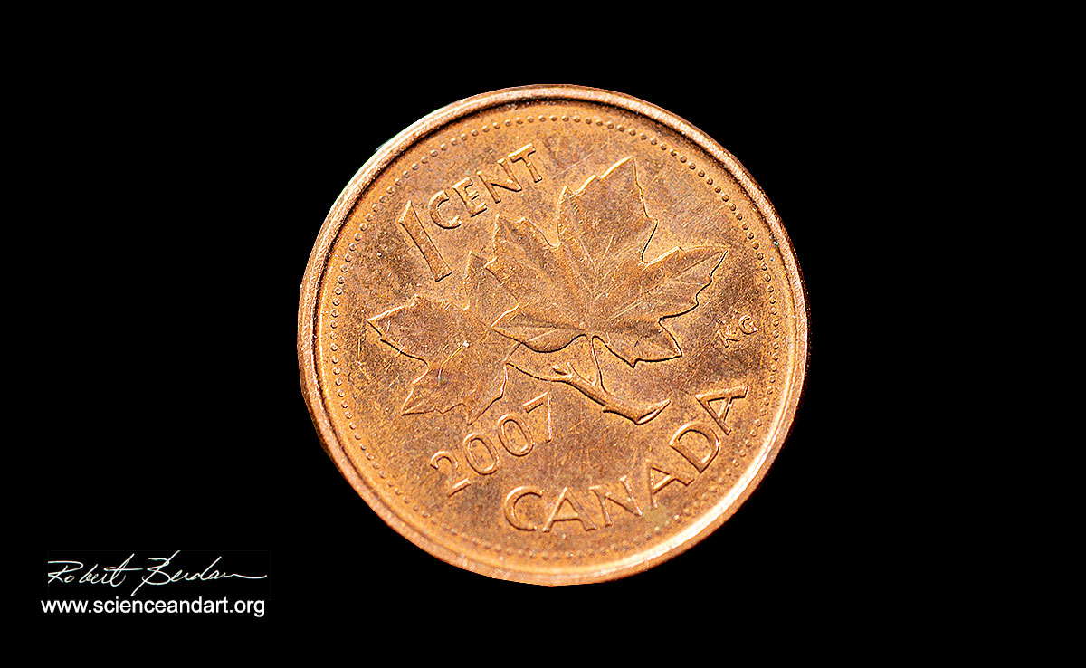 Photograph of a Canadian Penny taken with the Wild Stereomicroscope 4X Robert Berdan ©