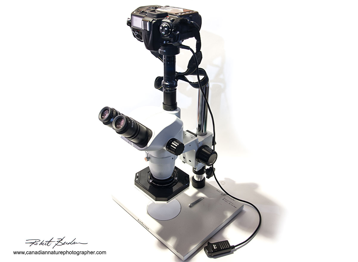 Used AM microscope with trinocular head mead in China Robert Berdan ©