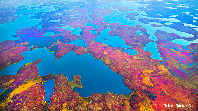Tundra from the air in Autumn  by Robert Berdan 