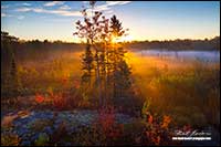 Sunrise and fog in meadow Ontario by Robert Berdan