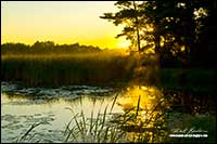 Sunrise over pond in Ontario by Robert Berdan