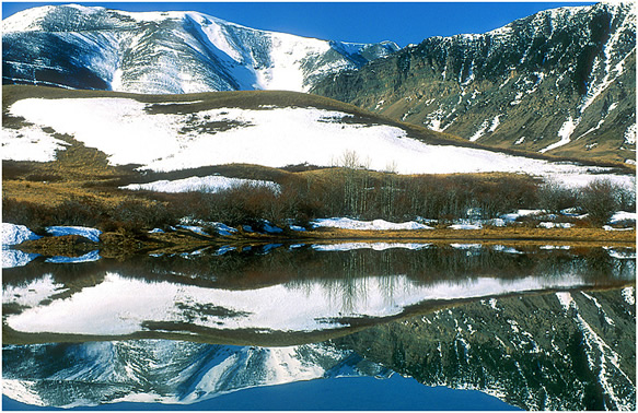 Winter scene reflected in shallow pond by Robert Berdan ©