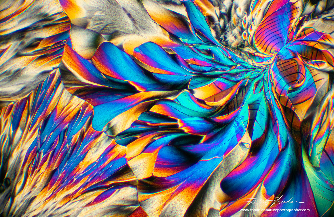 Beta-Alanine and Glutamine 100X polarized ligh microscopy abstract art Robert Berdan ©