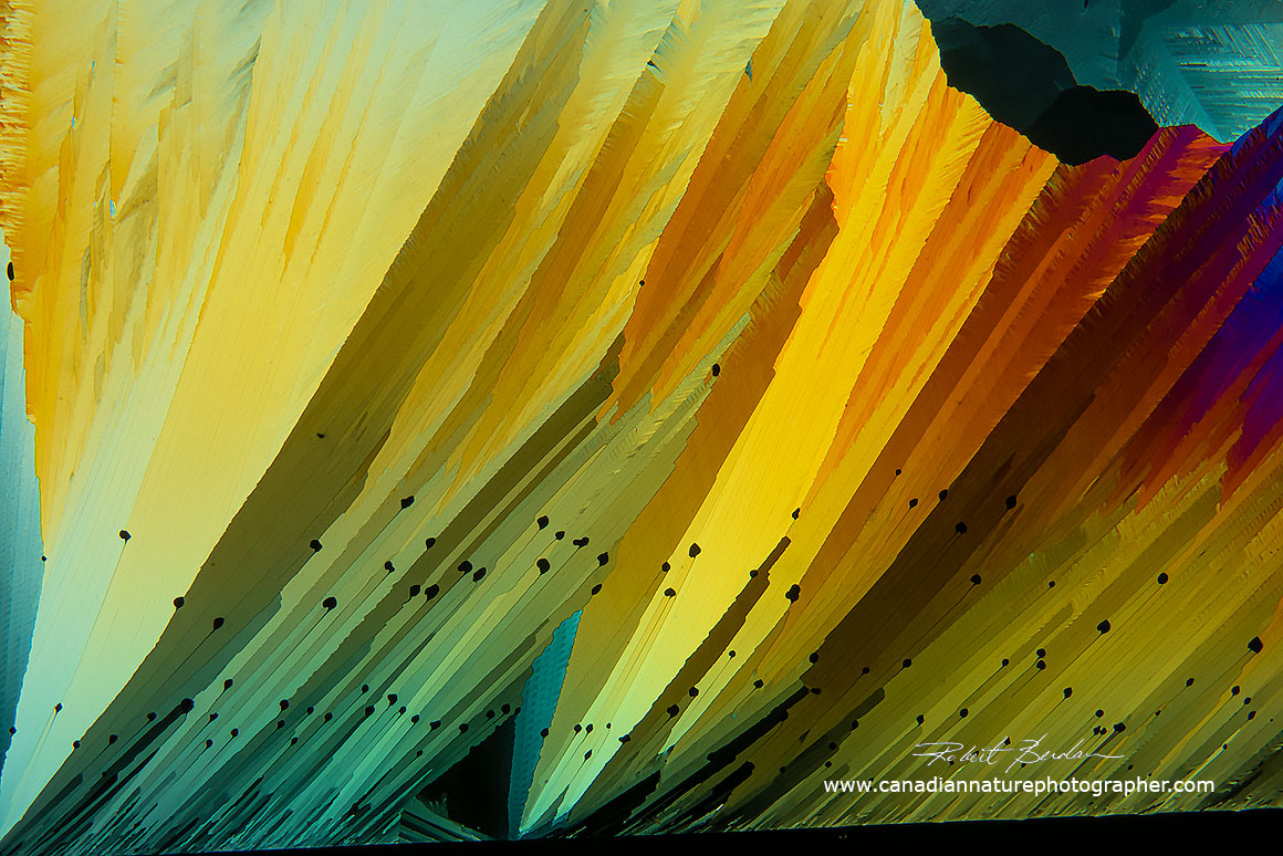 Caffeine crystal sheets melt method polarizing light microscopy Robert Berdan ©