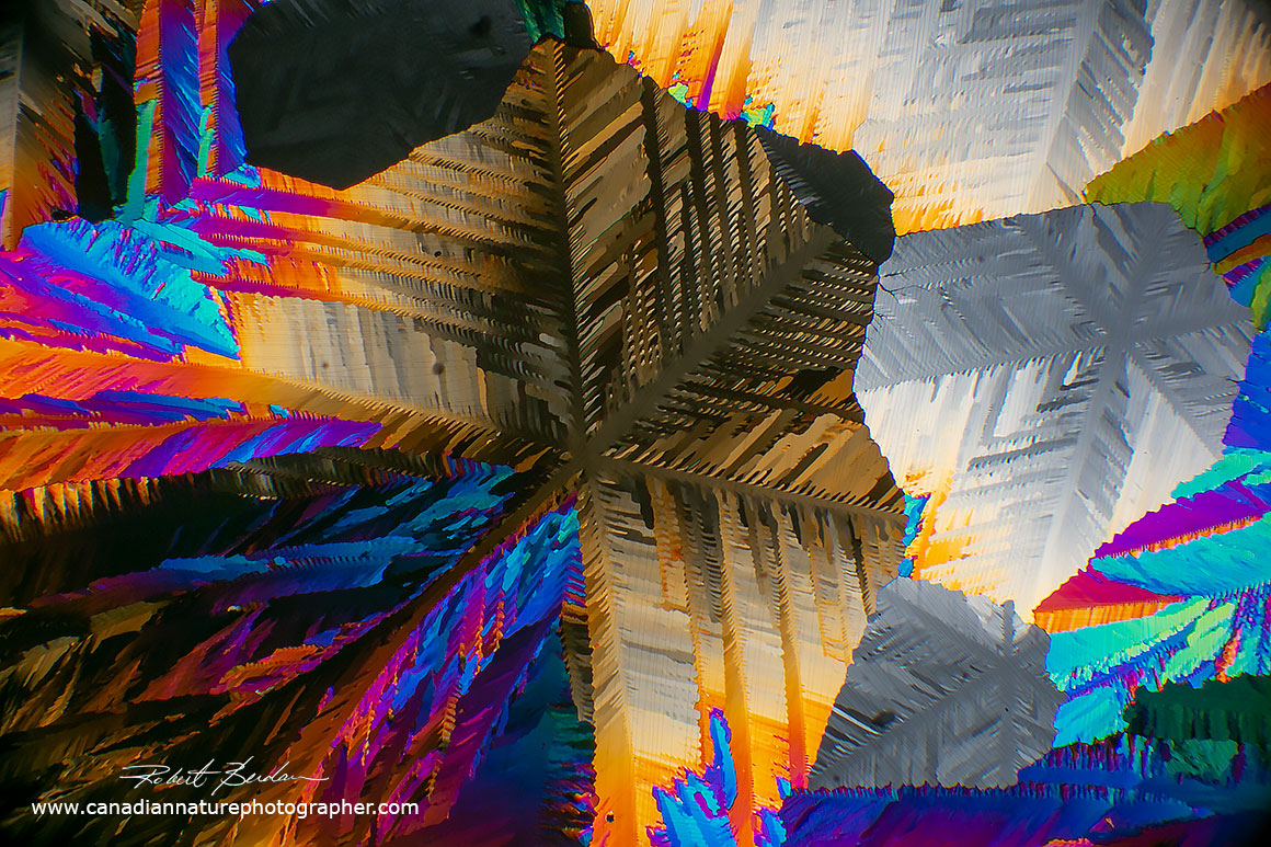 snowflake like patterns in these caffeine crystals produced using the melt method. 40X polarized light microscopy.  Robert Berdan ©