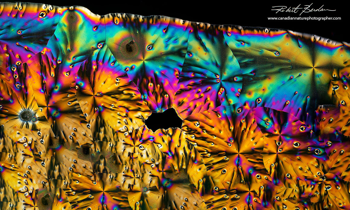 Vitamin C crystal panorama by polarized light microscopy  Robert Berdan ©