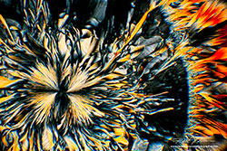 Amino acid crystals by polarized light microscopy by Robert Berdan ©