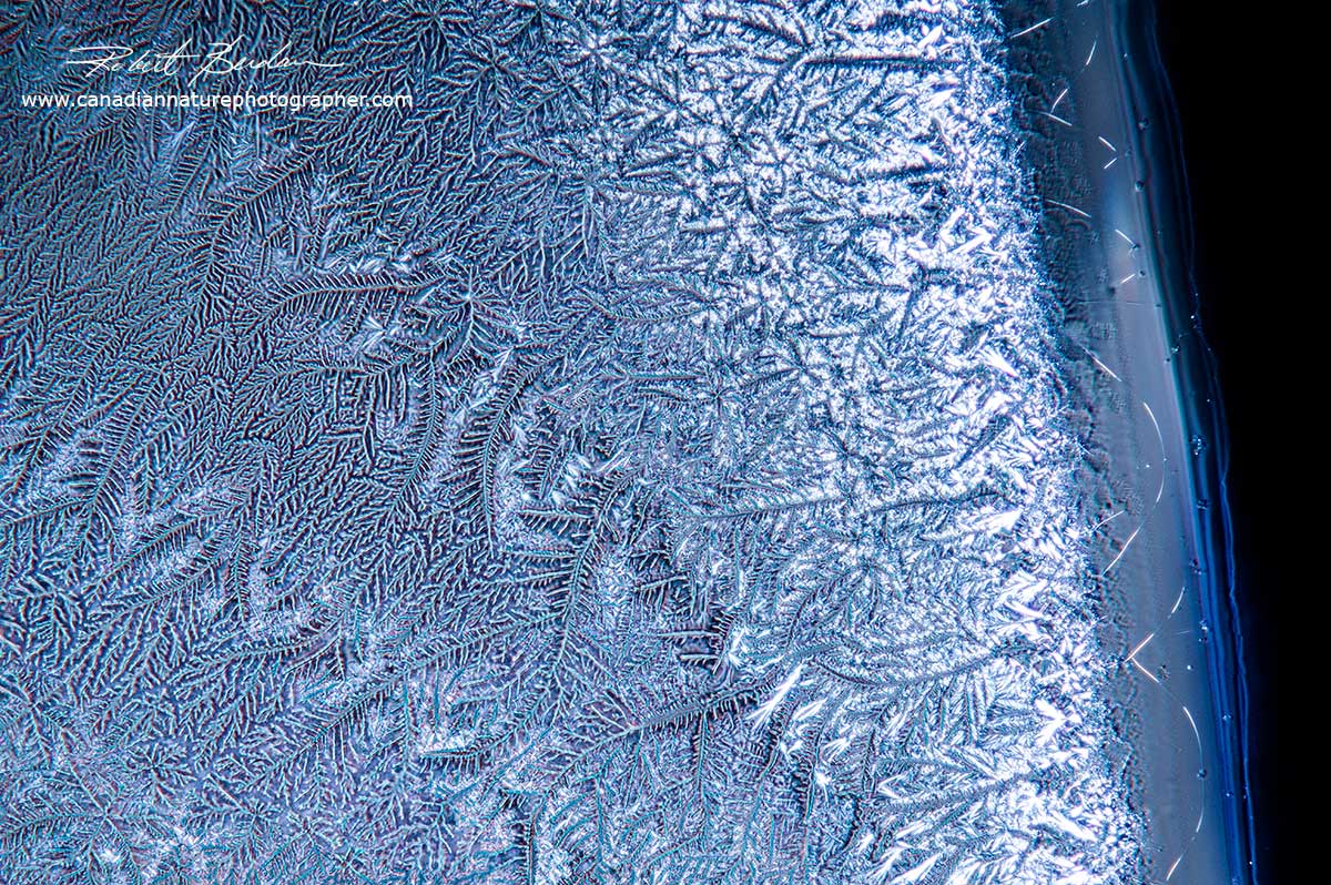Edge of a tear drop showing crystals inside the viewed 40X using DIC microscopy Robert Berdan ©