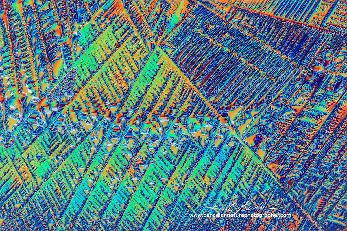 Corona Extra Beer Crystals using Differential interference Microscopy Robert Berdan ©
