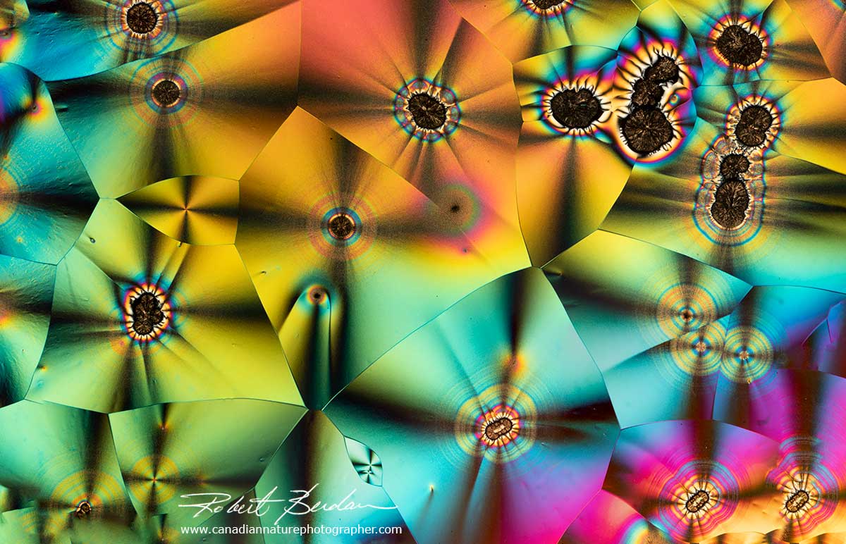 Panoramic photo of Vitamin C  Robert Berdan ©