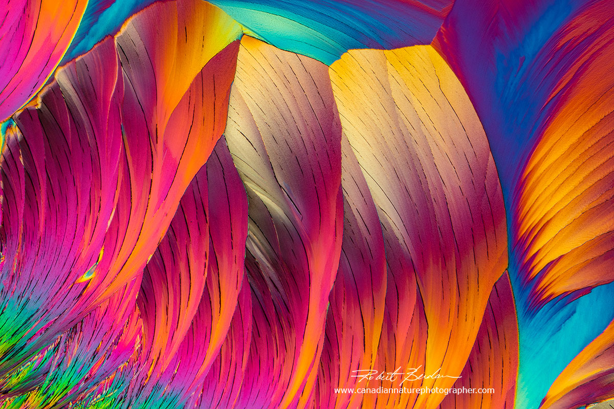polarizing photomicrographs of citric acid Robert Berdan ©