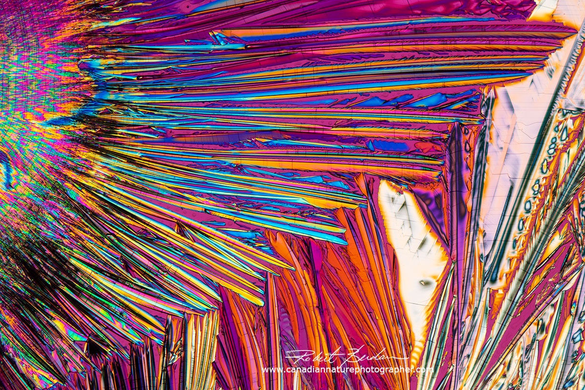 Benzoic acid crystals polarized light microscopy by Robert Berdan ©