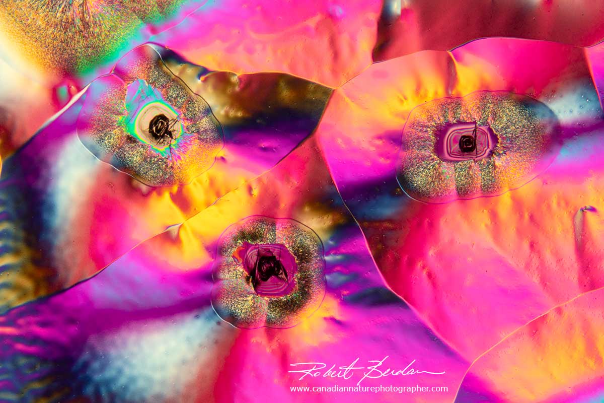 itamin C forms a wide variety of crystal shapes and colours - these resemble flowers Robert Berdan ©