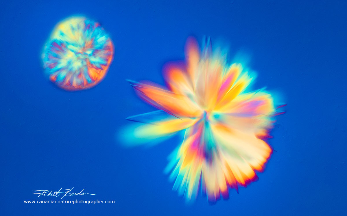 Crystals from Corona extra beer Robert Berdan ©