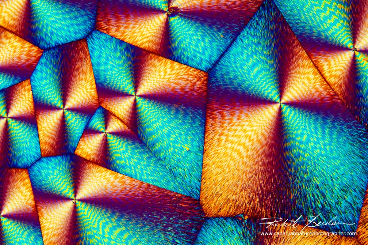 Vitamin C crystals in polarized light  Robert Berdan ©