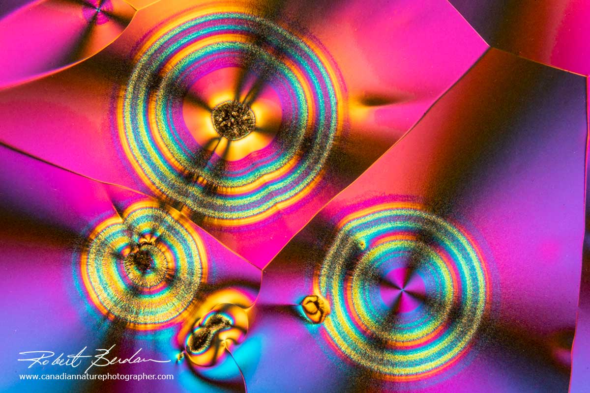 Vitamin C by Polarized light microscopy and a retardation plate 100X Robert Berdan ©