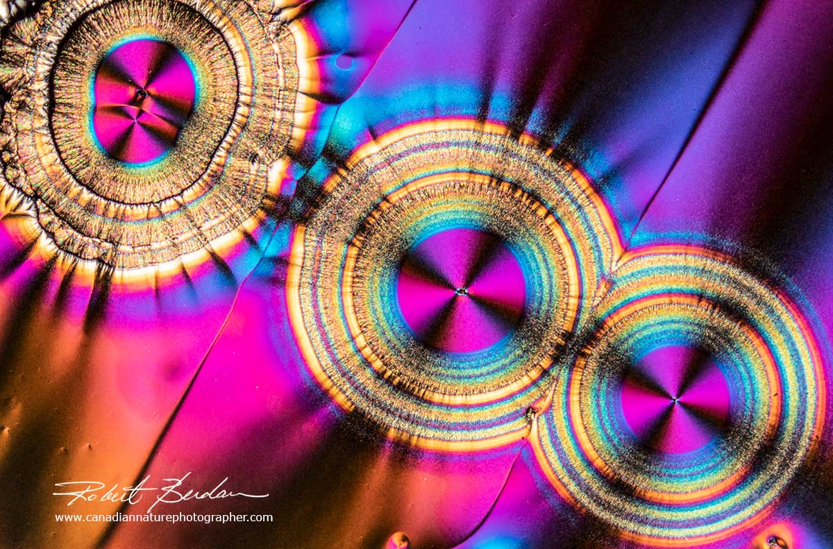 Vitamin C crystals with 3 circular crystals (spherulites) Robert Berdan ©