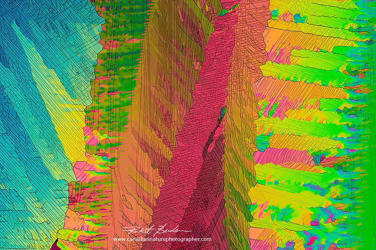 Caffeine crystals produced by the melt method and viewed by polarized light microscopy 100X Robert Berdan ©