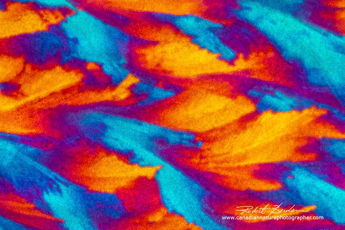 Frozen deionized water DIC microscopy Robert Berdan ©