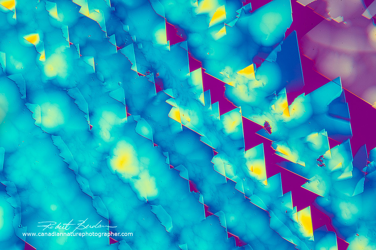Dopamine crystals dissoved in water and air dried 100X DIC microscopy Robert Berdan ©