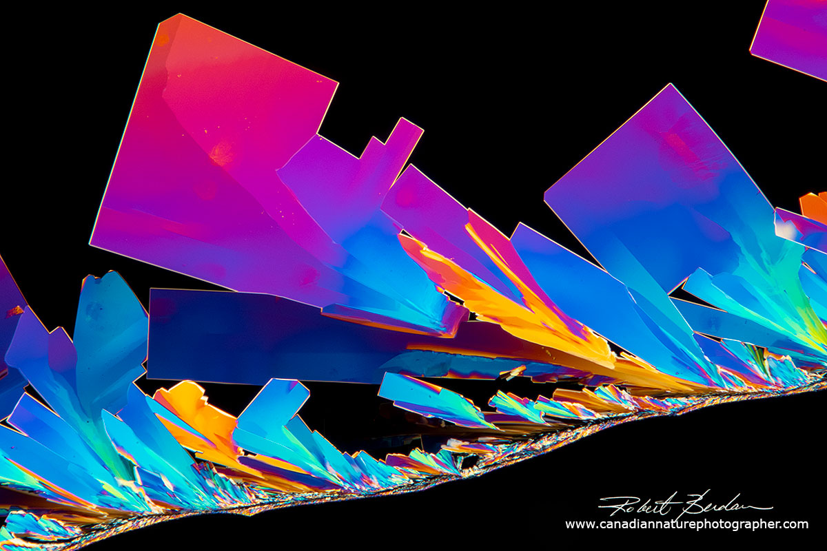 Vitamin C crystals forming along a hair - Polarized light microscopy Robert Berdan ©