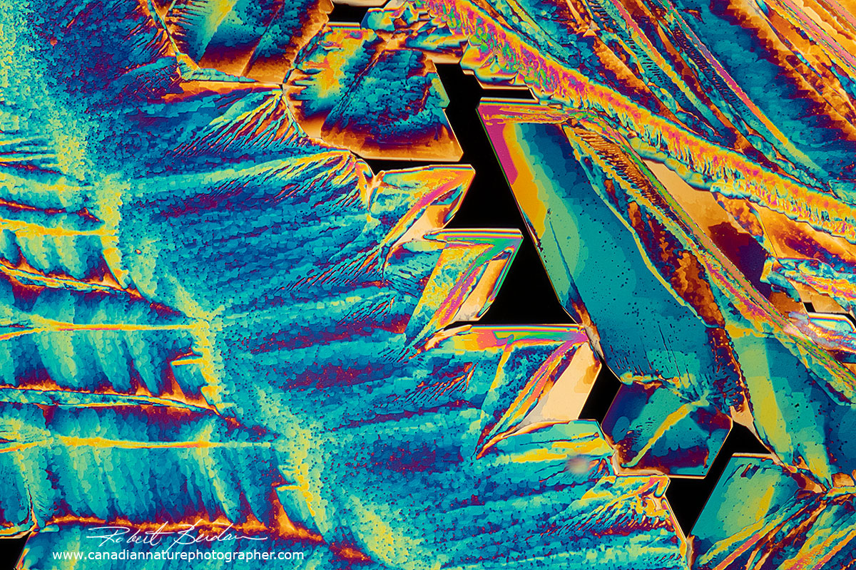 Crystals Photographed With Polarization Microscopy The Canadian 