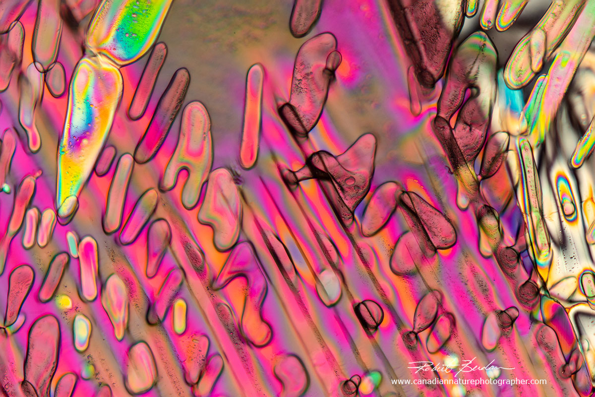 Crystals formed in beer frozen at -20°C 200X Robert Berdan ©