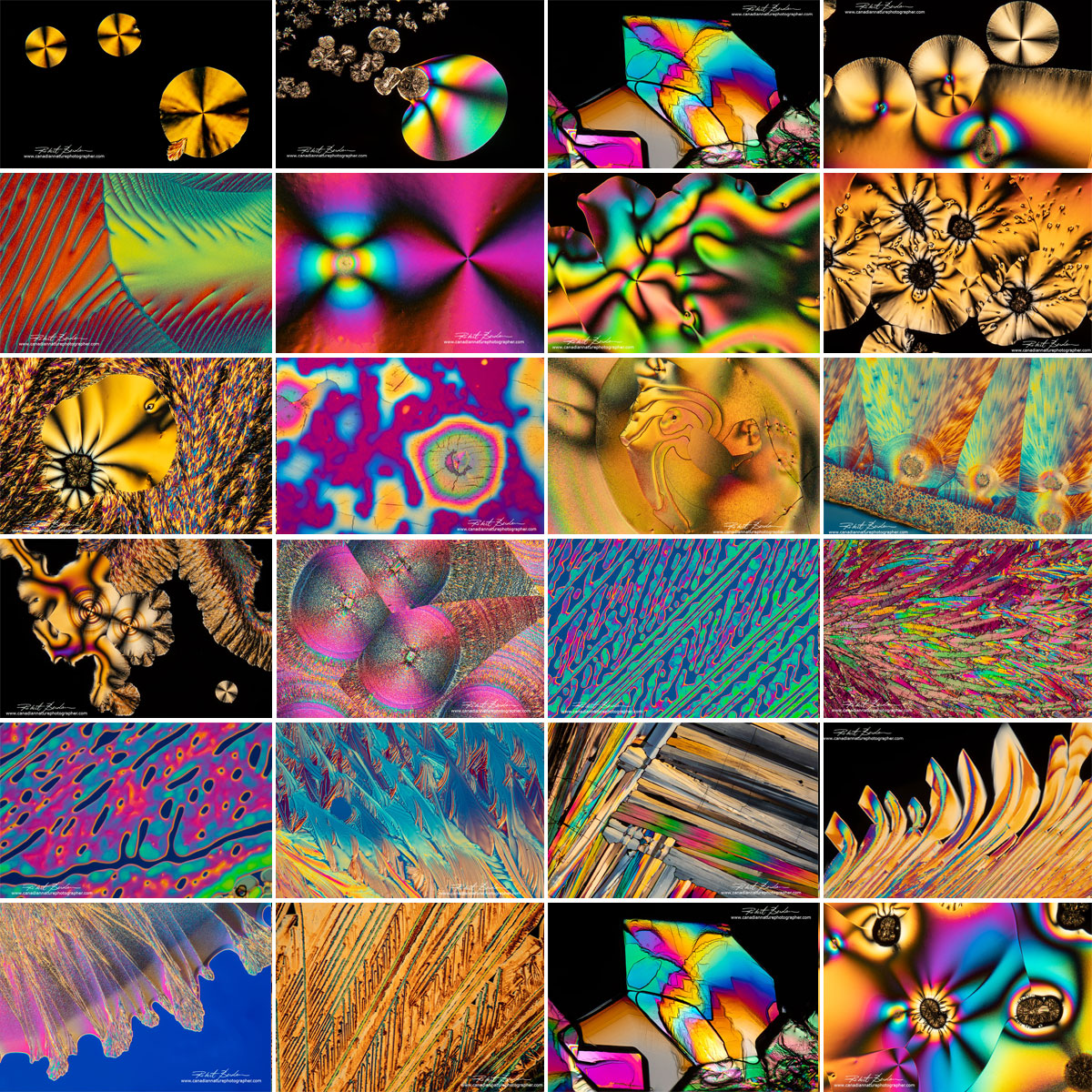 Composite image of polarized light photomicrographs showing several different crystals by Robert Berdan ©