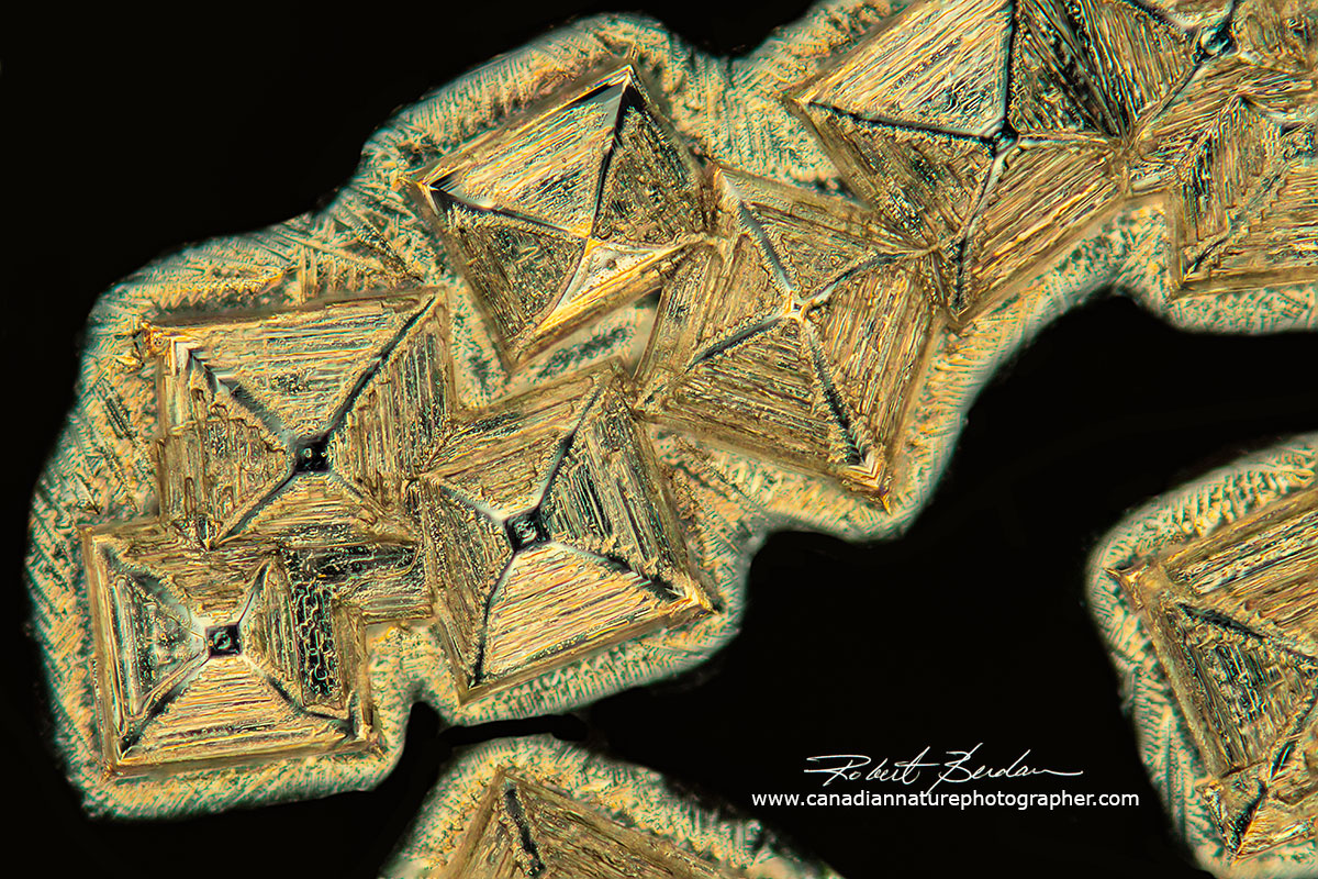Table salt crystal viewed by polarized light microscopy Robert Berdan ©