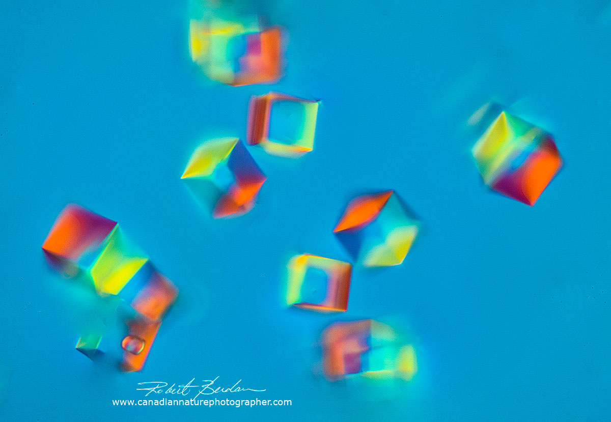Sulfamic acid crystals Robert Berdan ©
