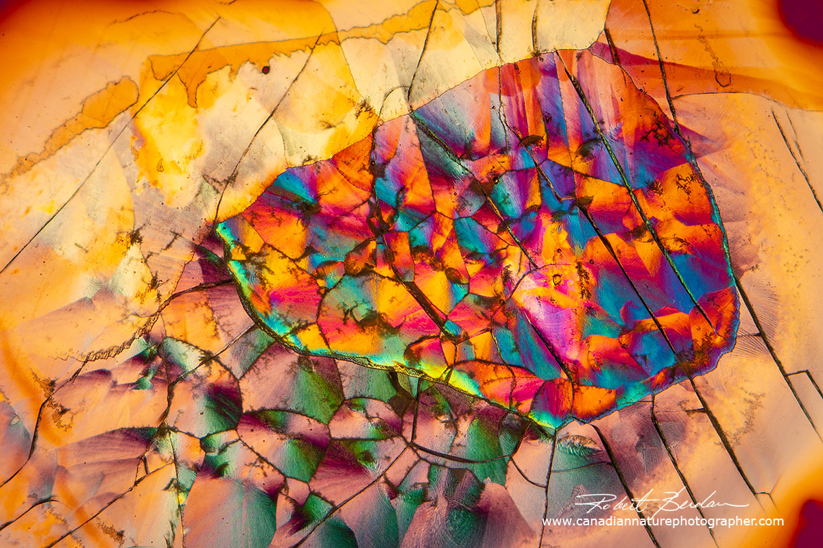 Sulfamic acid produced using the melt method - polarized light microscopy Robert Berdan ©