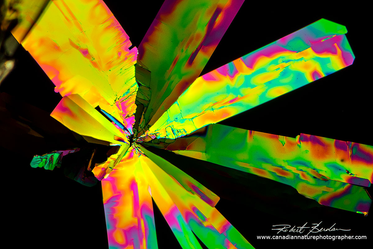 Urea crystal produced by melt method - polarizing microscopy Robert Berdan ©
