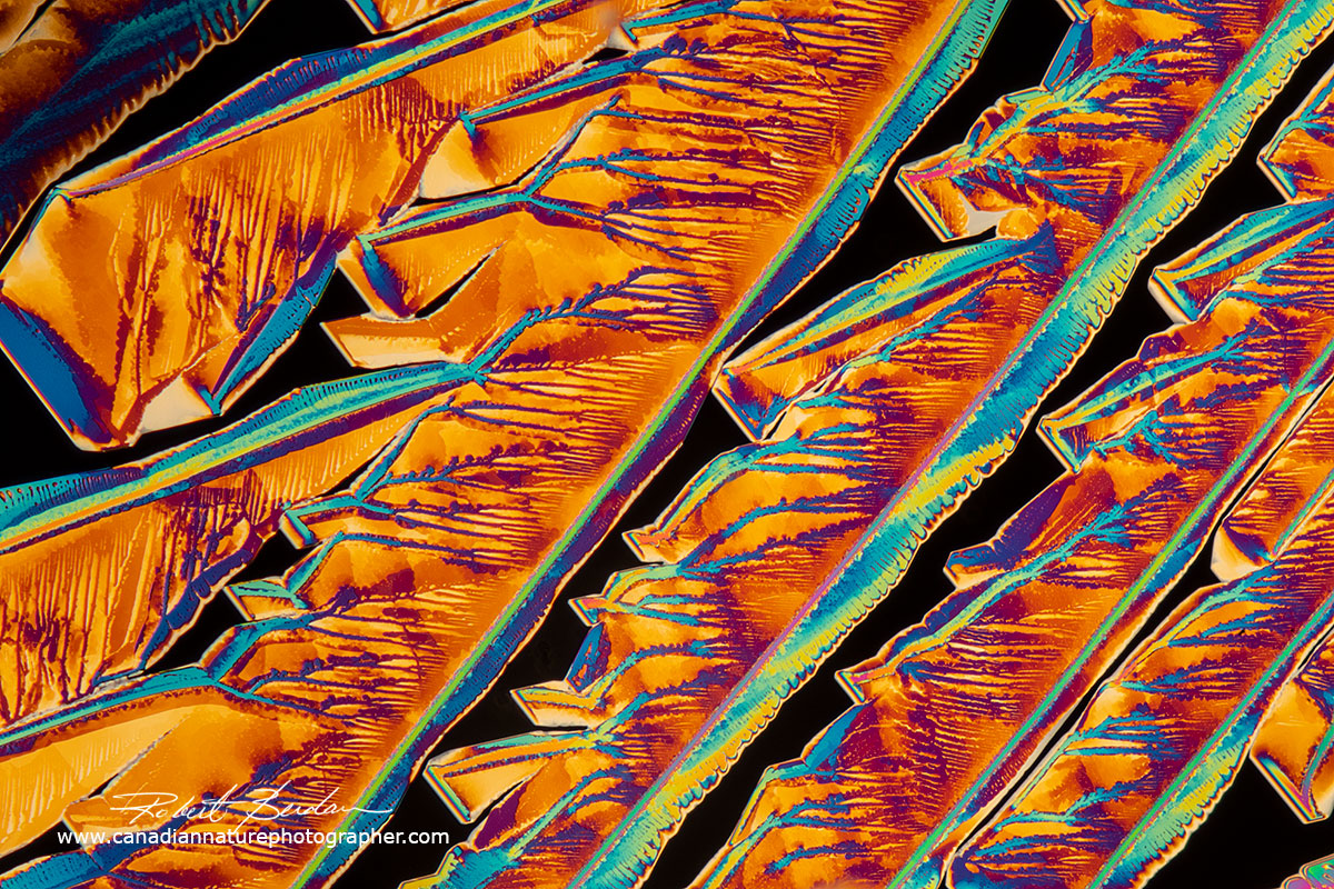 Zinc Acetate crystals Robert Berdan ©