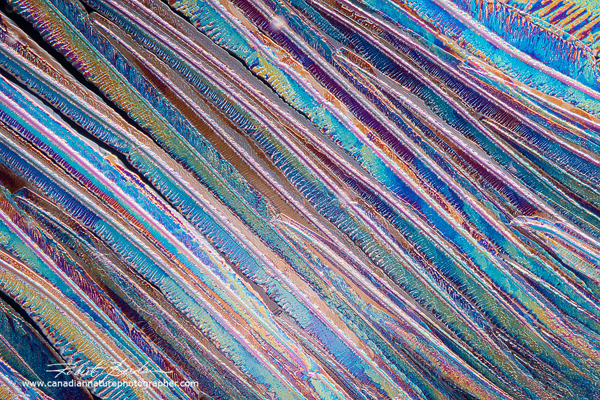 Zinc Acetate crystals Robert Berdan ©