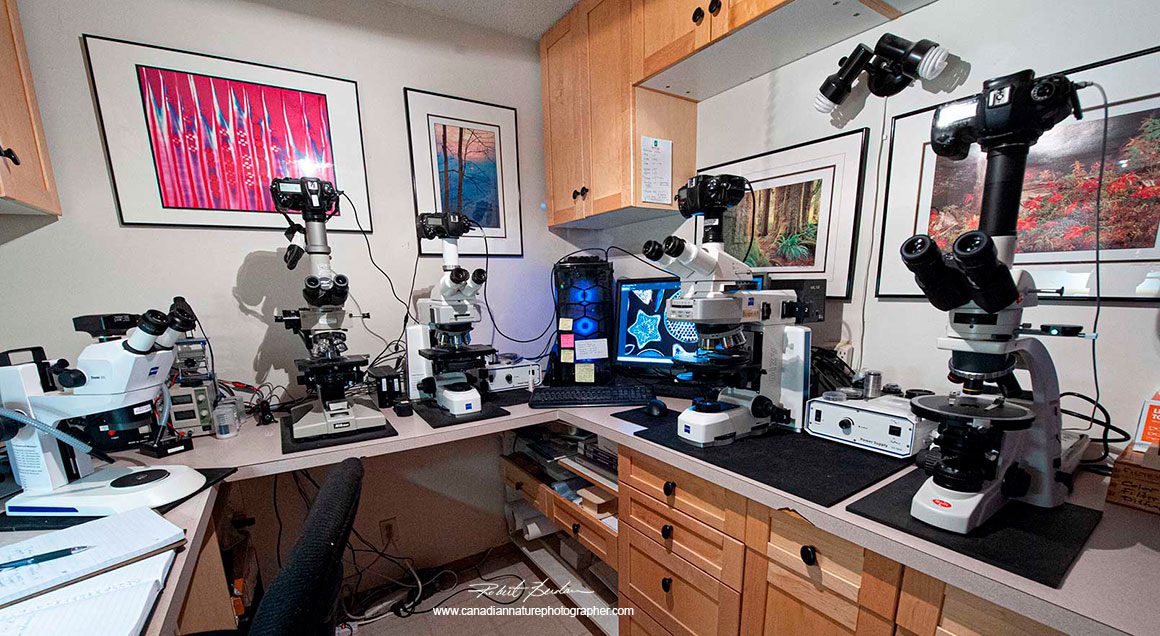 Microscope lab used for teaching by Robert Berdan ©