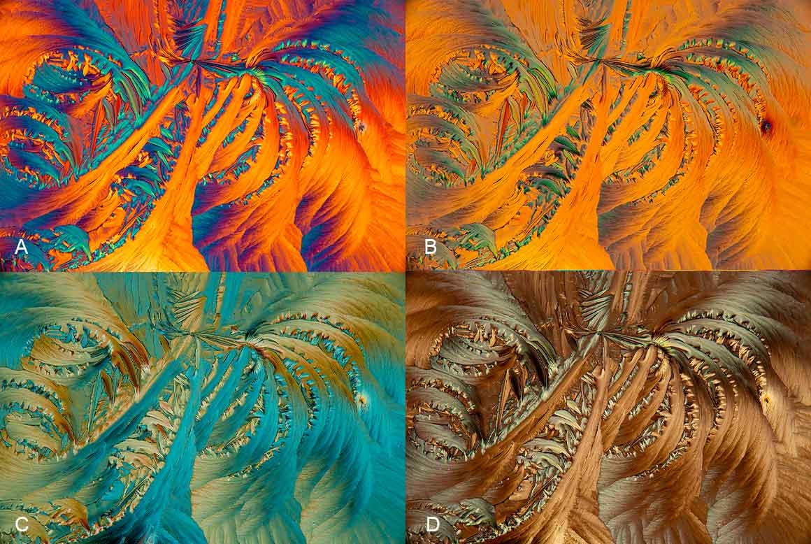 crystals of amino acids after rotating the wave plate viewed by polarizing microscopy by Robert Berdan ©
