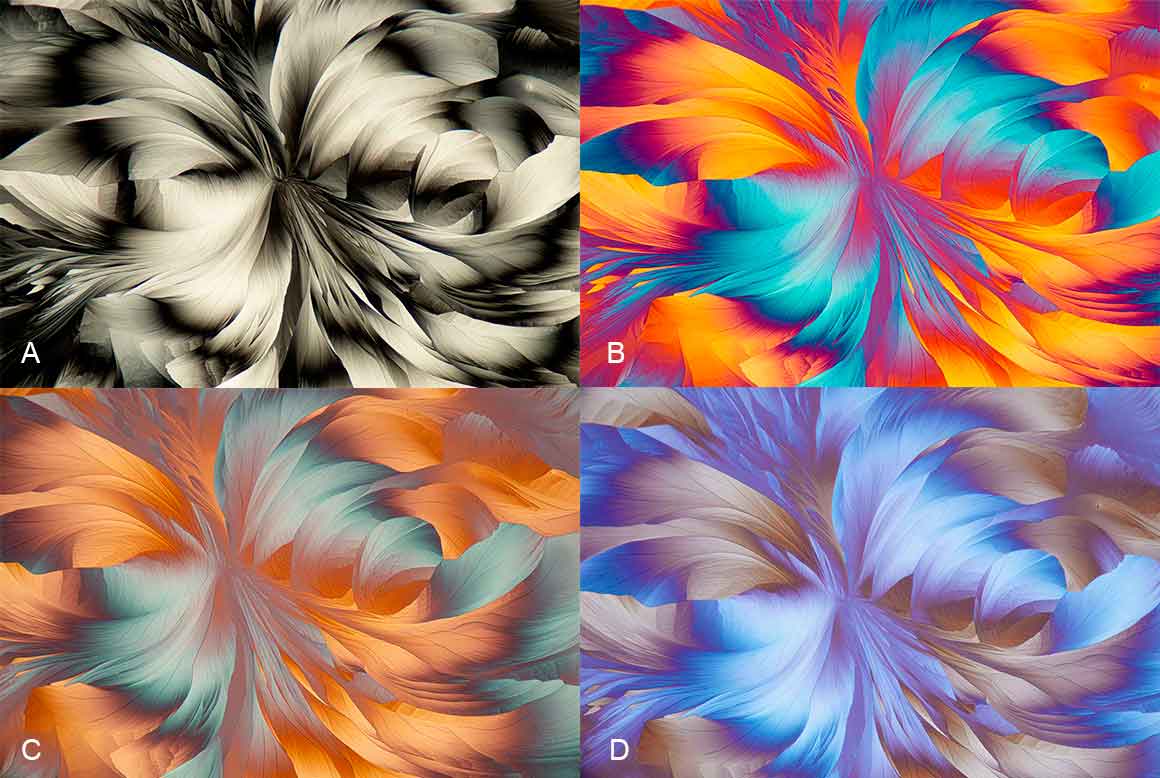 Crystals of amino acids in polarized light by Robert Berdan ©