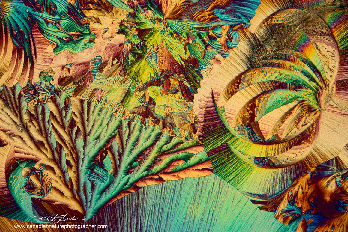 Callus remover mixed with Acetone 40X polarized light microscopy and wave plate by Robert Berdan ©