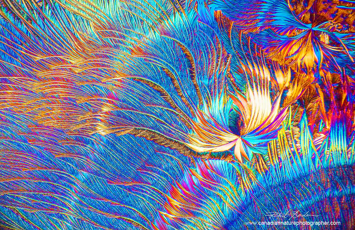 Callus remover mixed with acetone 40X polarized light and wave plate Robert Berdan ©
