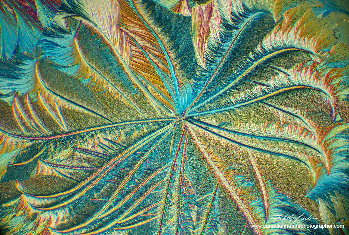 Callus remover  by polarized light microscopy Robert Berdan ©