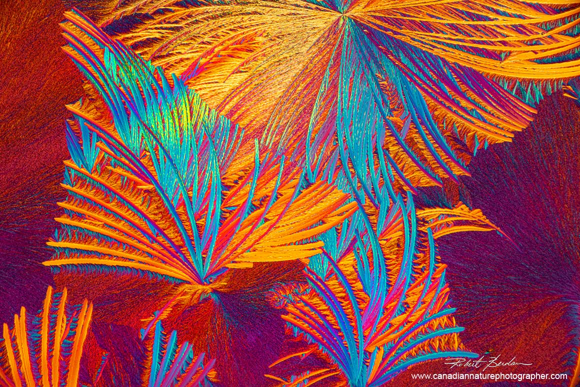 Callus remover (Lifebrand) with added Methanol, polarizing microscope and a wave plate. by Robert Berdan ©