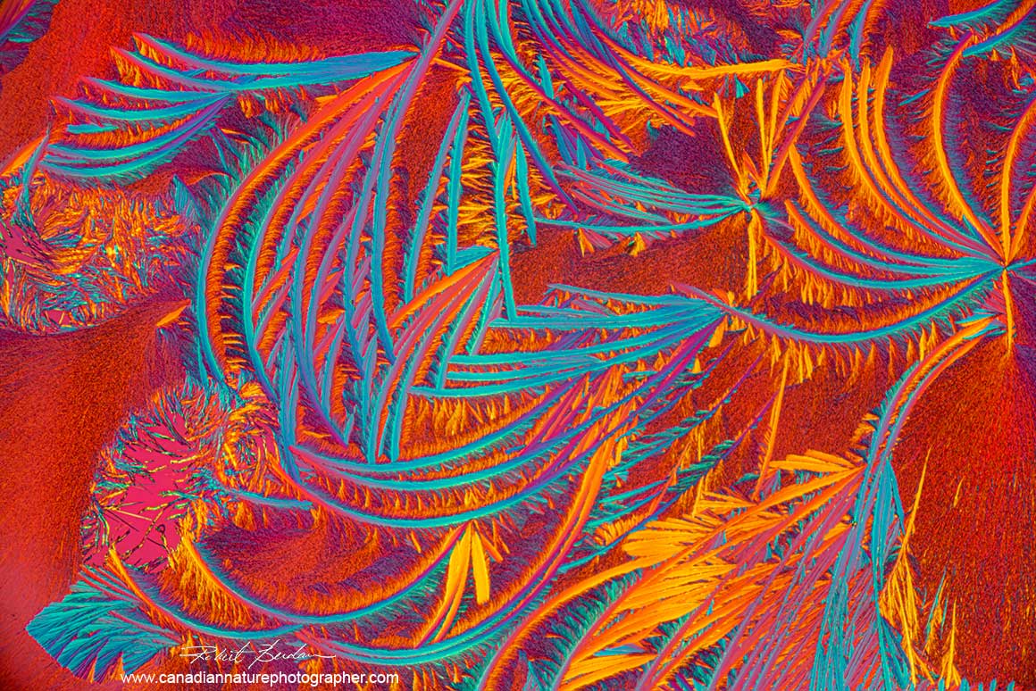 Callus remover (Lifebrand) with added methanol, polarizing microscope and a wave plate by Robert Berdan ©