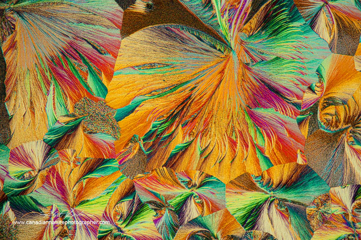 Compound W polarized light microscopy by Robert Berdan ©
