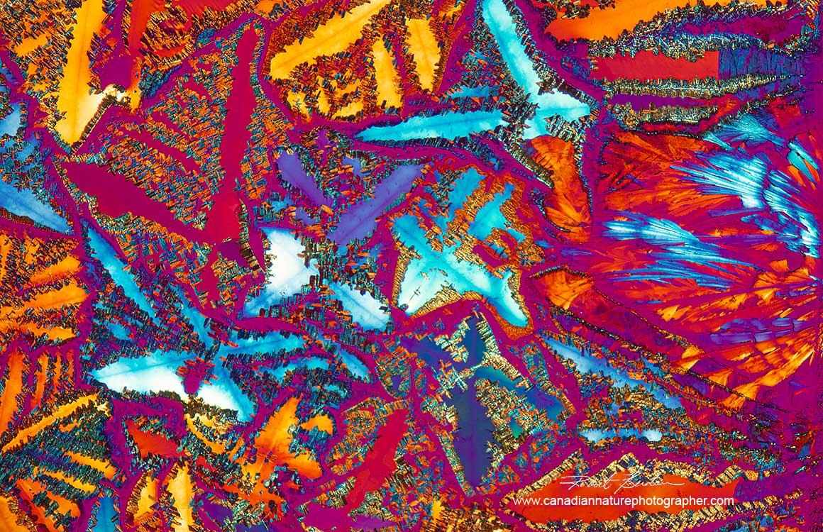 Manganese Chloride dissolved in Isopropyl alcohol (99%) Polarized light microscopy and wave plate. 100X by Robert Berdan ©