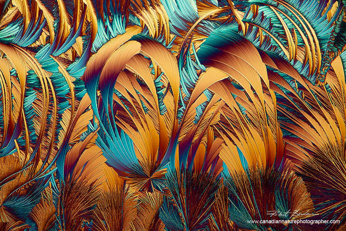 Alanine and Glutamine in water and ethanol 1:4 via polarized light and a wave plate by Robert Berdan ©